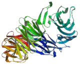 Transducin Beta like Protein 1, X-Linked (TbL1X)