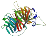 Transducin Beta like Protein 1, Y-Linked (TbL1Y)