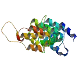 Transforming Growth Factor Beta Receptor Associated Protein 1 (TGFbRAP1)