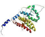 Transient Receptor Potential Cation Channel Subfamily C, Member 2 (TRPC2)