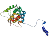 Transient Receptor Potential Cation Channel Subfamily C, Member 3 (TRPC3)