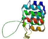 Transient Receptor Potential Cation Channel Subfamily C, Member 7 (TRPC7)