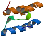 Transient Receptor Potential Cation Channel Subfamily M, Member 3 (TRPM3)