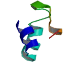 Transient Receptor Potential Cation Channel Subfamily M, Member 8 (TRPM8)