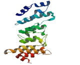 Transient Receptor Potential Cation Channel Subfamily V, Member 4 (TRPV4)