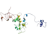 Translin Associated Factor X Interacting Protein 1 (TSNAXIP1)