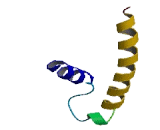 Translocase Of Inner Mitochondrial Membrane 13 (TIMM13)