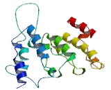 Translocase Of Inner Mitochondrial Membrane 23 (TIMM23)