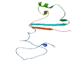 Translocase Of Inner Mitochondrial Membrane 23B (TIMM23B)