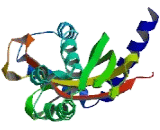 Translocase Of Inner Mitochondrial Membrane 44 (TIMM44)