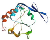 Translocase Of Inner Mitochondrial Membrane 50 Homolog (TIMM50)