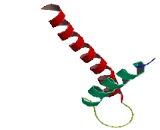 Translocase Of Inner Mitochondrial Membrane 8A (TIMM8A)