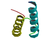 Translocase Of Inner Mitochondrial Membrane 9 Homolog (TIMM9)