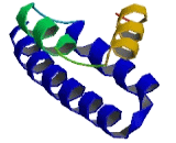 Translocase Of Outer Mitochondrial Membrane 20 (TOMM20)