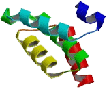 Translocase Of Outer Mitochondrial Membrane 34 (TOMM34)