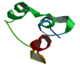 Translocase Of Outer Mitochondrial Membrane 7 (TOMM7)