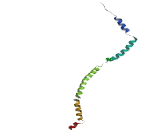 Translocated Promoter Region Protein (TPR)