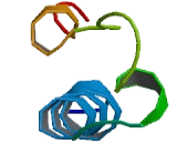 Translocation Associated Membrane Protein 1 (TRAM1)