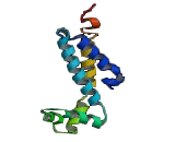 Translocation Associated Membrane Protein 1 Like Protein 1 (TRAM1L1)