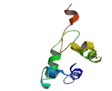 Translocation Associated Membrane Protein 2 (TRAM2)