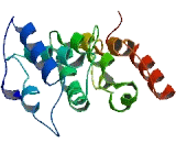 Transmembrane 4 L Six Family, Member 1 (TM4SF1)