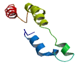 Transmembrane 4 L Six Family, Member 20 (TM4SF20)