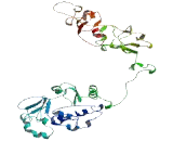 Transmembrane 7 Superfamily, Member 4 (TM7SF4)