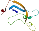 Transmembrane 9 Superfamily, Member 4 (TM9SF4)