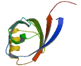 Transmembrane And Coiled Coil Domains Protein 1 (TMCO1)