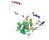 Transmembrane And Coiled Coil Domains Protein 4 (TMCO4)