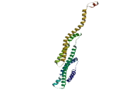 Transmembrane And Coiled Coil Domains Protein 5B (TMCO5B)