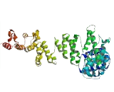 Transmembrane And Coiled Coil Domains Protein 6 (TMCO6)