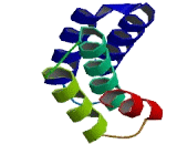 Transmembrane And Tetratricopeptide Repeat Containing Protein 4 (TMTC4)