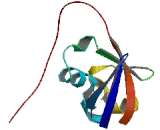 Transmembrane And Ubiquitin Like Domain Containing Protein 2 (TMUB2)