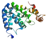 Transmembrane Anterior Posterior Transformation Protein 1 (TAPT1)