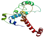 Transmembrane BAX Inhibitor Motif Containing Protein 1 (TMBIM1)