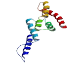 Transmembrane BAX Inhibitor Motif Containing Protein 4 (TMBIM4)