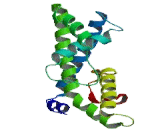 Transmembrane Channel Like Protein 2 (TMC2)