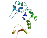 Transmembrane Channel Like Protein 3 (TMC3)