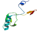 Transmembrane Channel Like Protein 4 (TMC4)