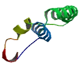 Transmembrane Emp24 Protein Transport Domain Containing Protein 1 (TMED1)