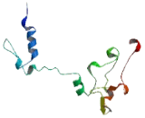 Transmembrane Emp24 Protein Transport Domain Containing Protein 3 (TMED3)