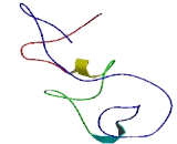 Transmembrane Glycoprotein NMB (GPNMB)