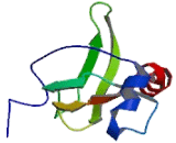 Transmembrane Protease, Serine 5 (TMPRSS5)