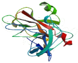 Transmembrane Protease, Serine 9 (TMPRSS9)