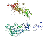 Transmembrane Protein 1 (TMEM1)