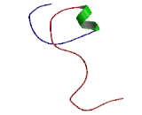 Transmembrane Protein 100 (TMEM100)