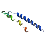 Transmembrane Protein 101 (TME<b>M101</b>)