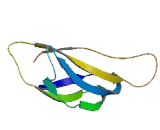 Transmembrane Protein 106C (TMEM106C)