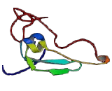 Transmembrane Protein 107 (TMEM107)